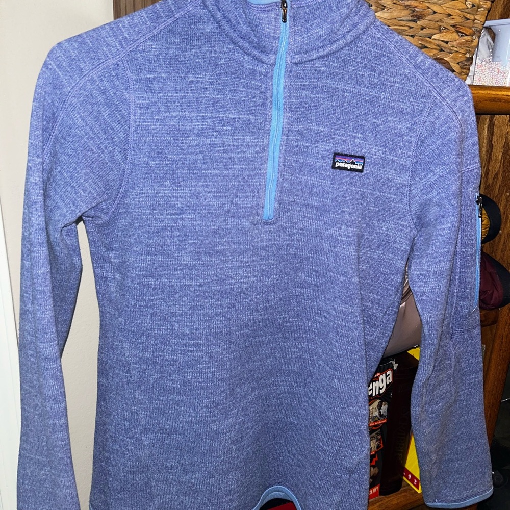Patagonia Heathered Blue Half-Zip Fleece